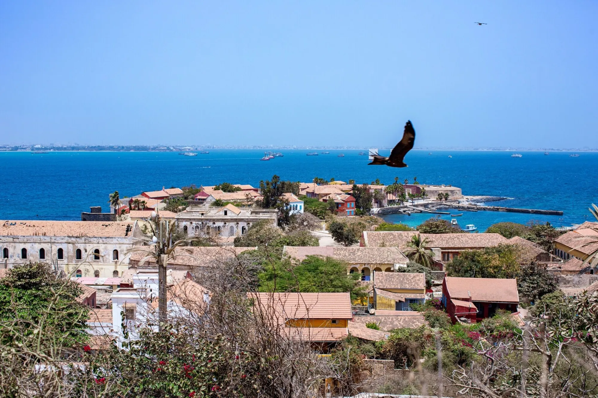 Toits et rivage de l'île de Gorée, décor patrimonial du Sénégal